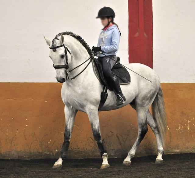  riding the dehesica 